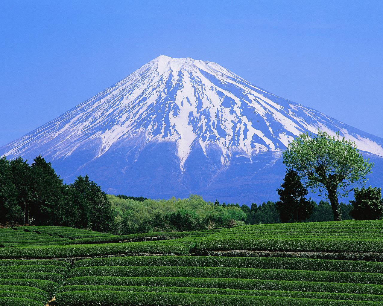 MT Fuji